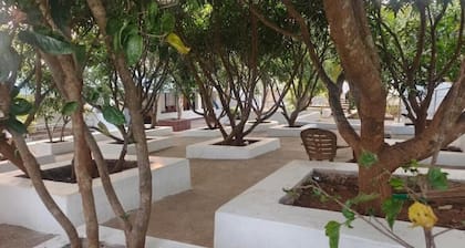 Deers Eco Home Resort