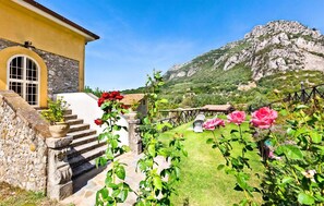 Área da propriedade