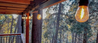 Cozy A-Frame High in The Tree Tops