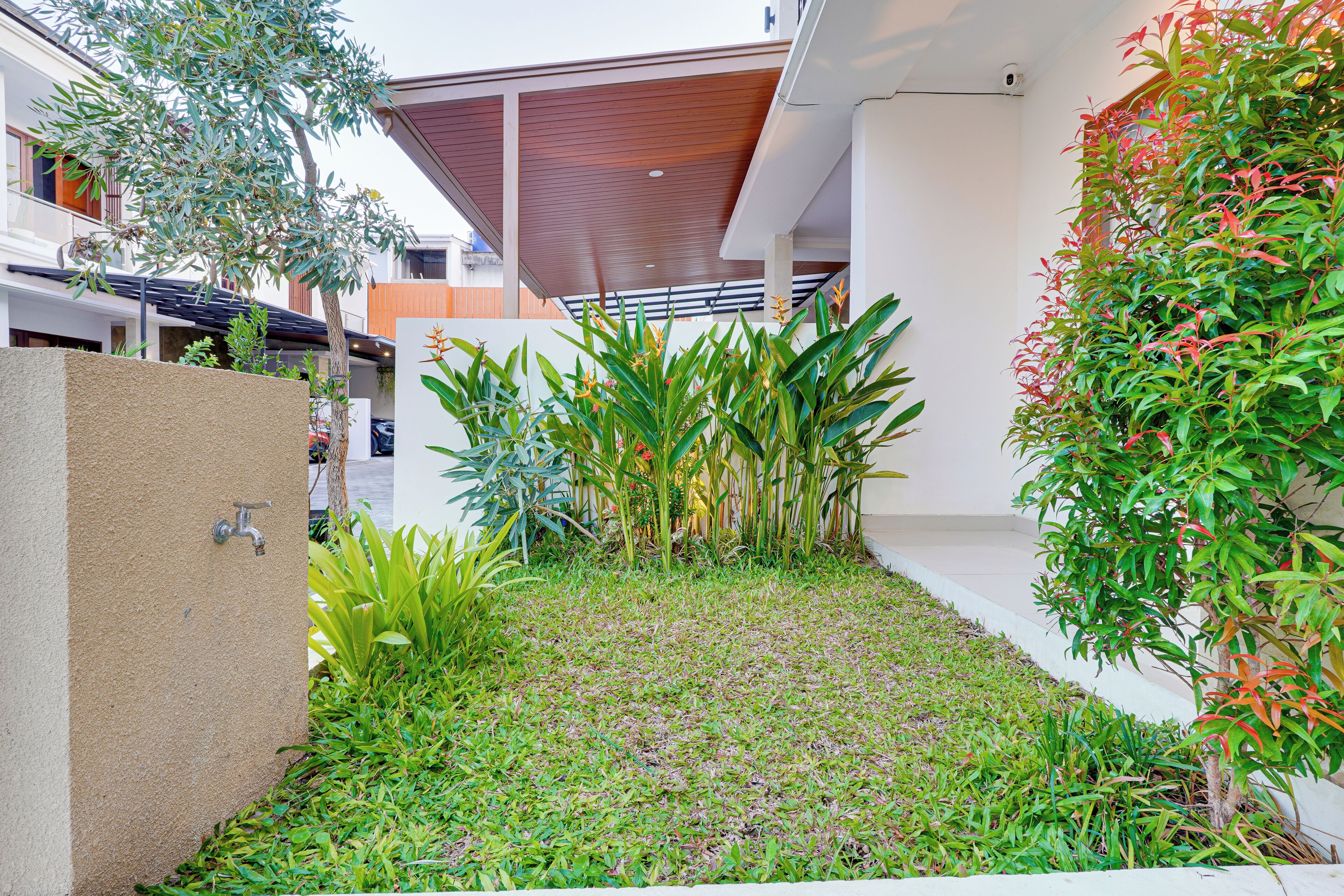 A modern outdoor area with a variety of plants, a water feature, and a concrete wall.