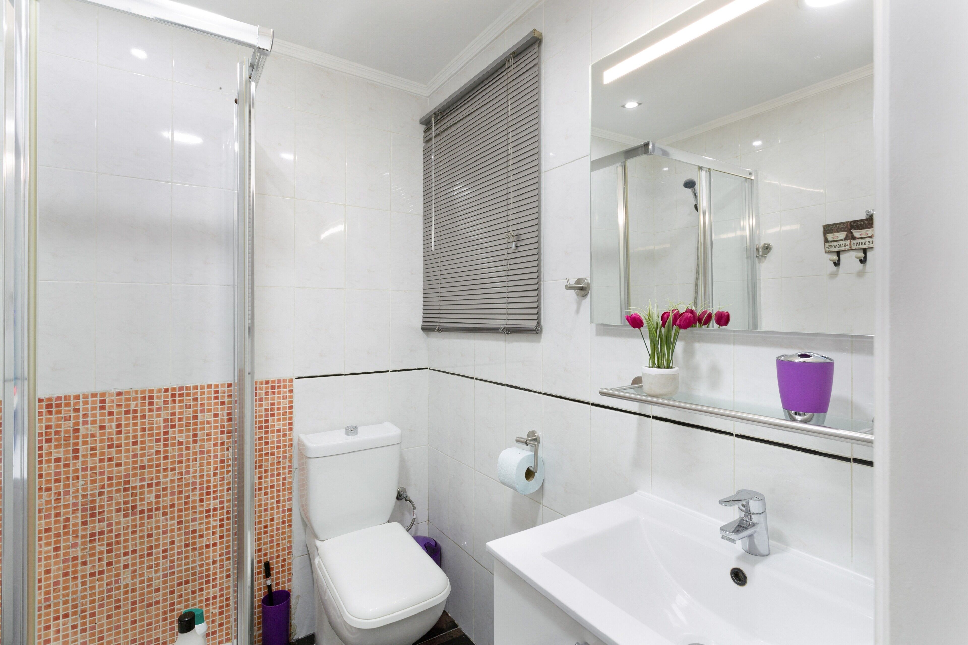 Douche, séchoir à cheveux, serviettes fournies