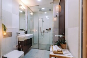 Douche, séchoir à cheveux, serviettes fournies