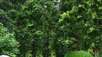 Kolam renang terbuka