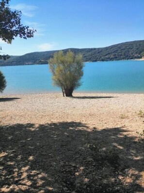 Una vista despejada de un lago con un árbol solitario en primer plano y una colina al fondo.