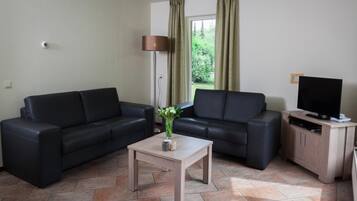 TV connectée, cheminée, lecteur de DVD
