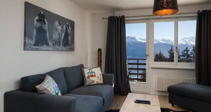Magnificent apartment close to the center and skiing