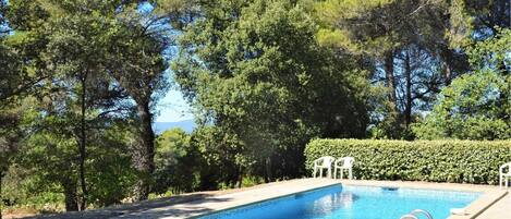 Alberca