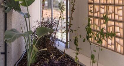 Brand new two-bedroom apartment located in a serene residential area.