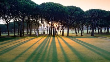 Apartament | Vista des de l'allotjament