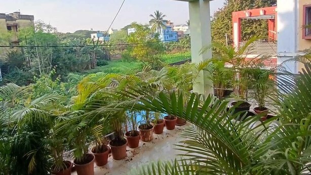 A covered outdoor area with potted plants arranged in rows, a tiled floor, and a view of surrounding buildings and greenery. - The Basic (Bhubaneshwar)