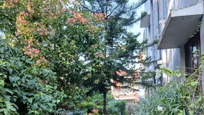 A narrow pathway flanked by lush greenery and potted plants, leading to a building entrance. - The Basic (Bhubaneshwar)