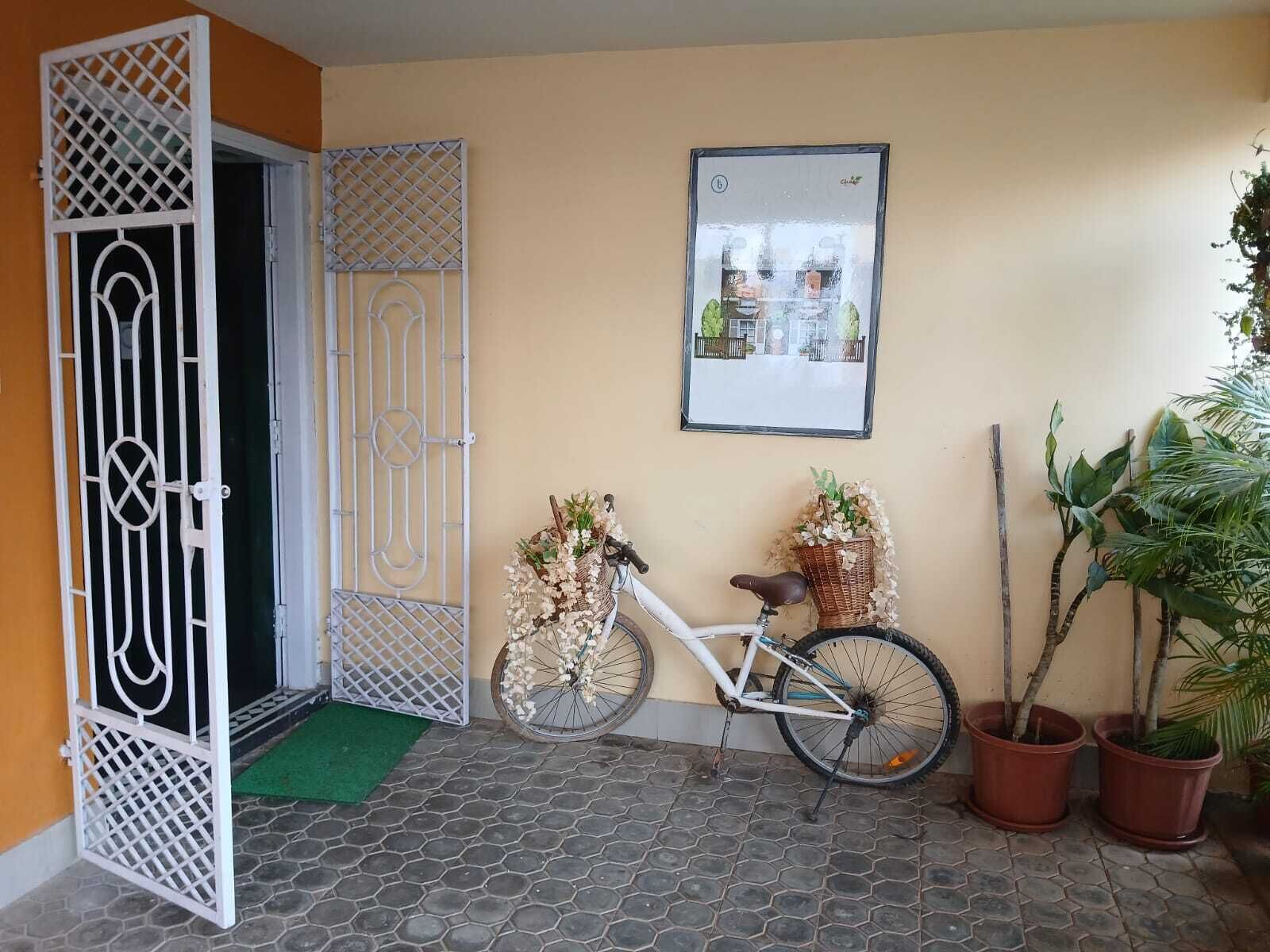 A bicycle parked next to a wall with a framed picture, potted plants, and a metal gate.