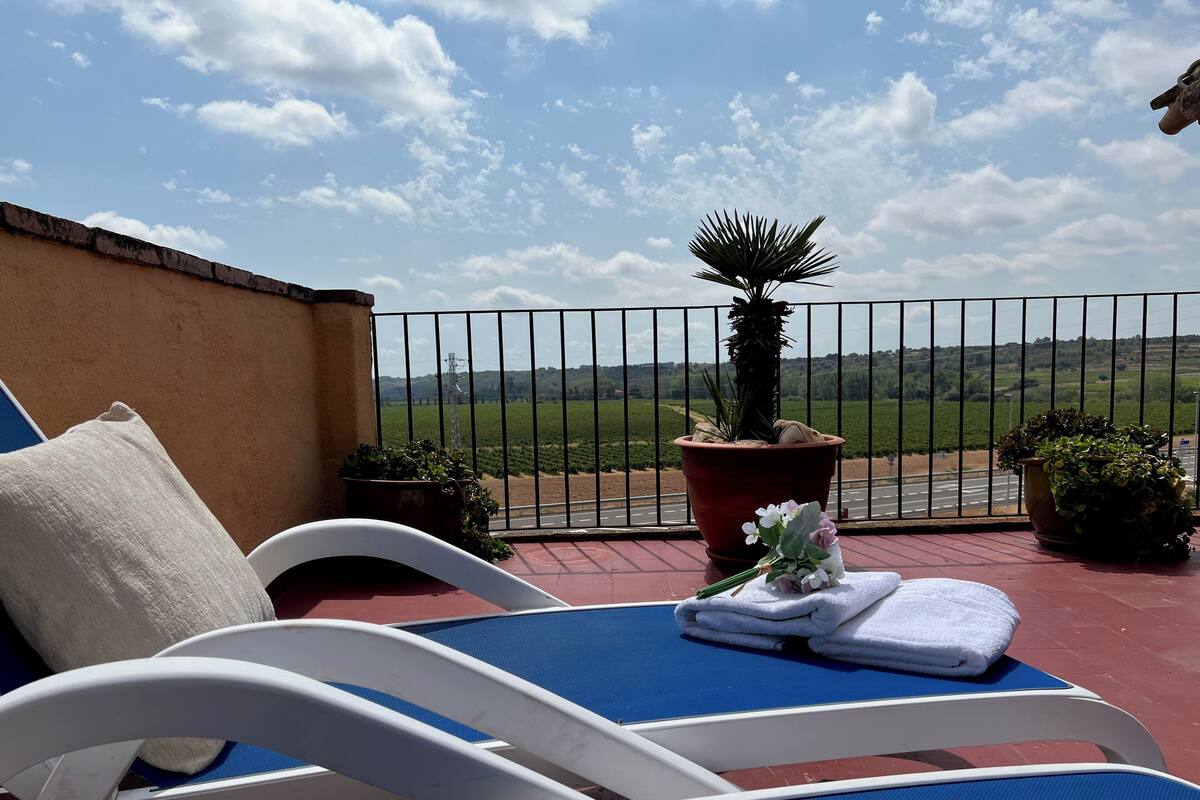 Un balcón con vistas a una carretera y campos, una silla blanca, una silla azul y una planta en maceta.