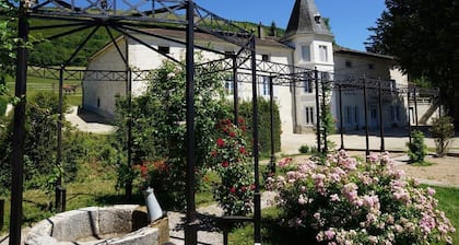 CHARMING GITE IN COURMANGOUX IN THE AIN REGION, 1 H FROM LYON AND 1H30 FROM SUIS