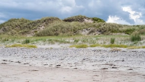 A beach with dunes and grassy areas. - 4 Person Holiday Home in Frederiksvaerk (Frederiksvaerk)
