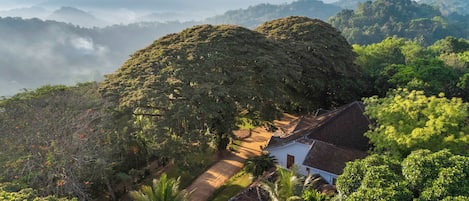 A traditional house surrounded by lush greenery and a mountainous landscape.