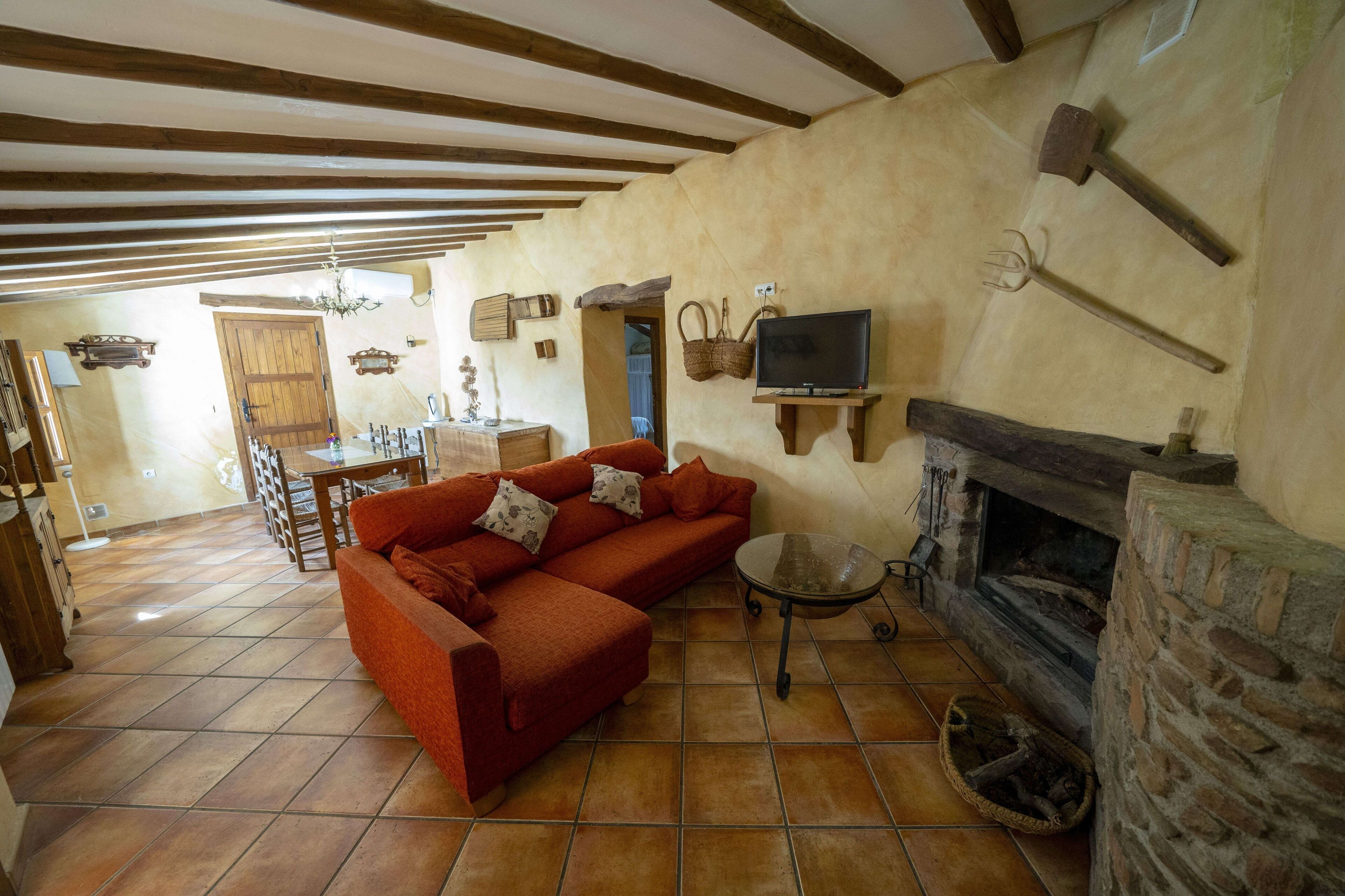 TV, fireplace, books