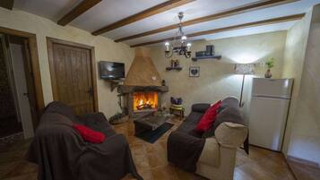 TV, fireplace, books