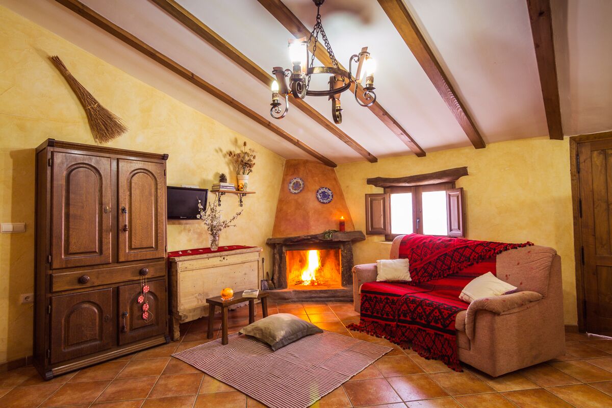 TV, fireplace, books