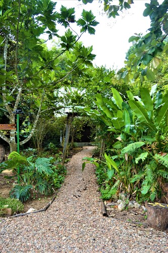 Jungle Like Oasis in San Ignacio - Secluded Cabaña Retreat Close To Mayan Ruins