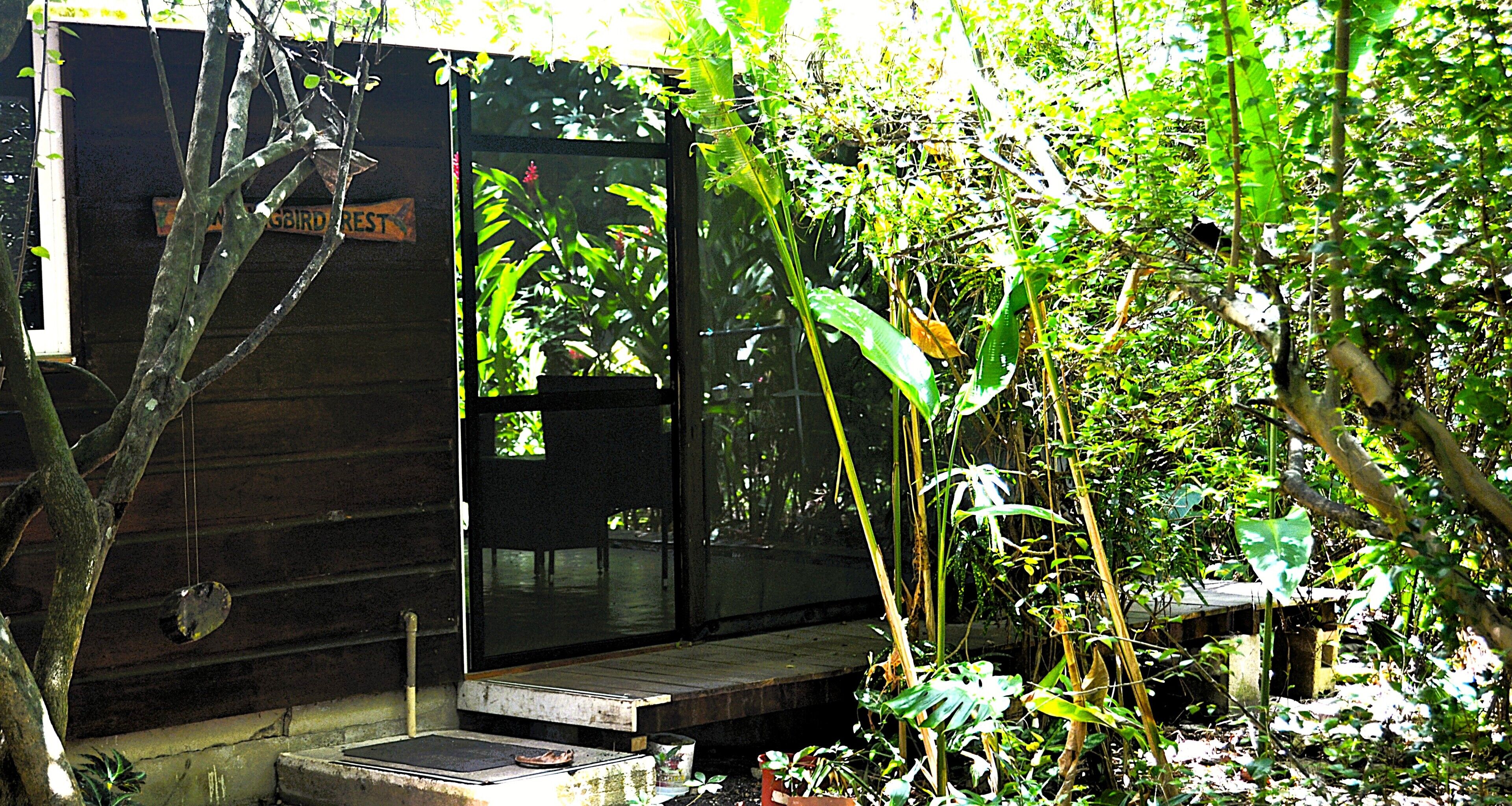 A rustic wooden cabin with a small porch, surrounded by dense tropical vegetation.