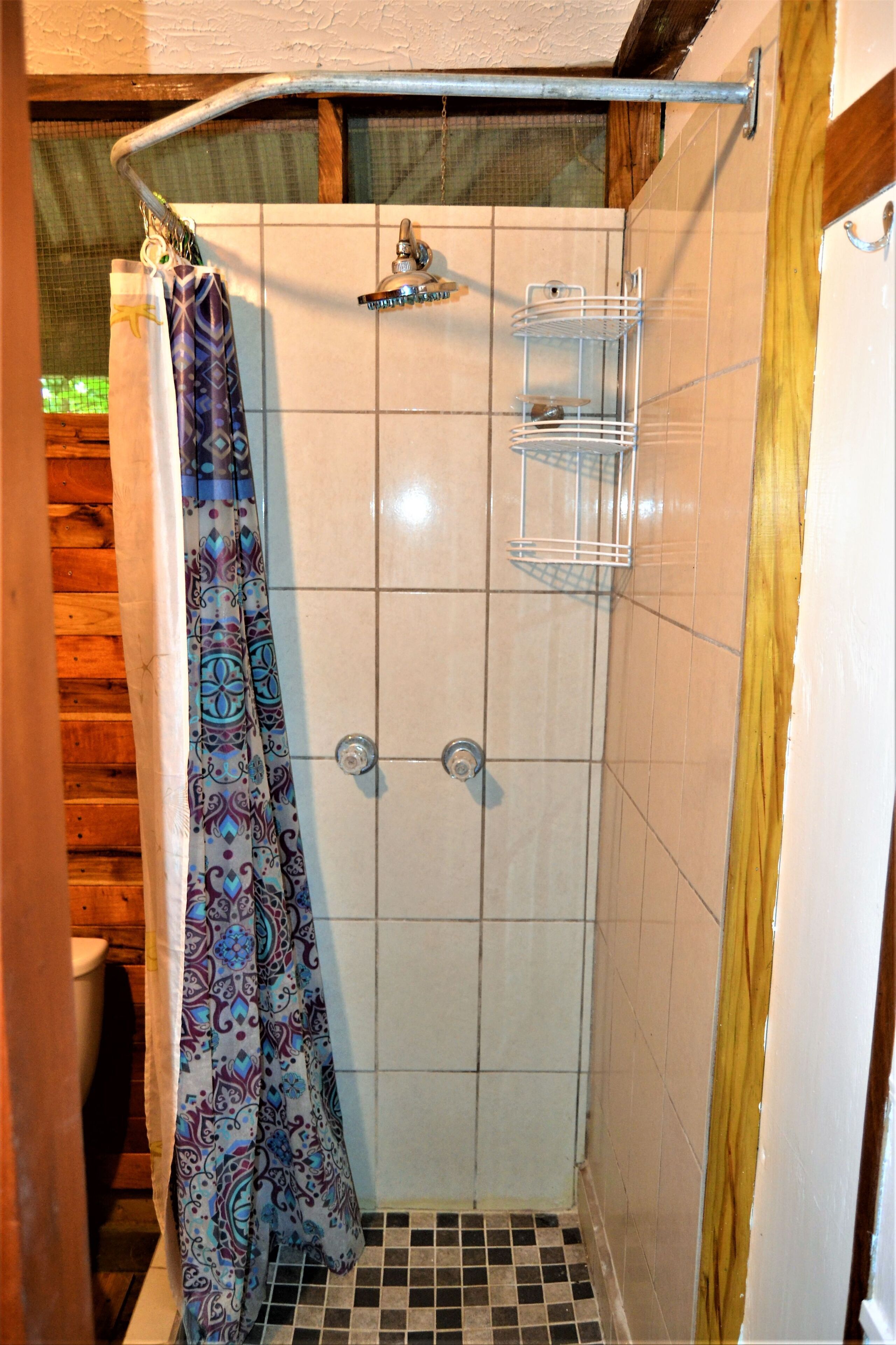 Shower, hair dryer, towels