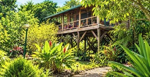 Una cabaña de madera con balcón, rodeada de abundante follaje y diversas plantas.