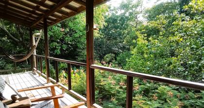 Tree Top Tropical Oasis in San Ignacio - Your Home Away from Home in The Trees