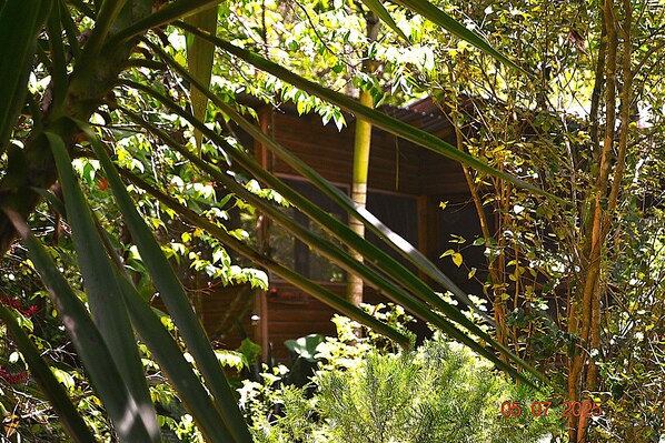 A wooden cabin surrounded by dense foliage and trees.