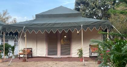 Kumbh Travel