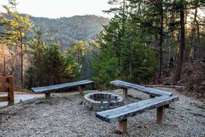 Unclassified image, 4 of 66, button