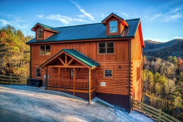 Unclassified image, 1 of 66, button