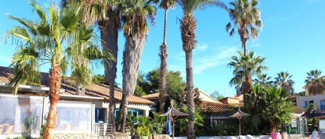 季節限定屋外プール