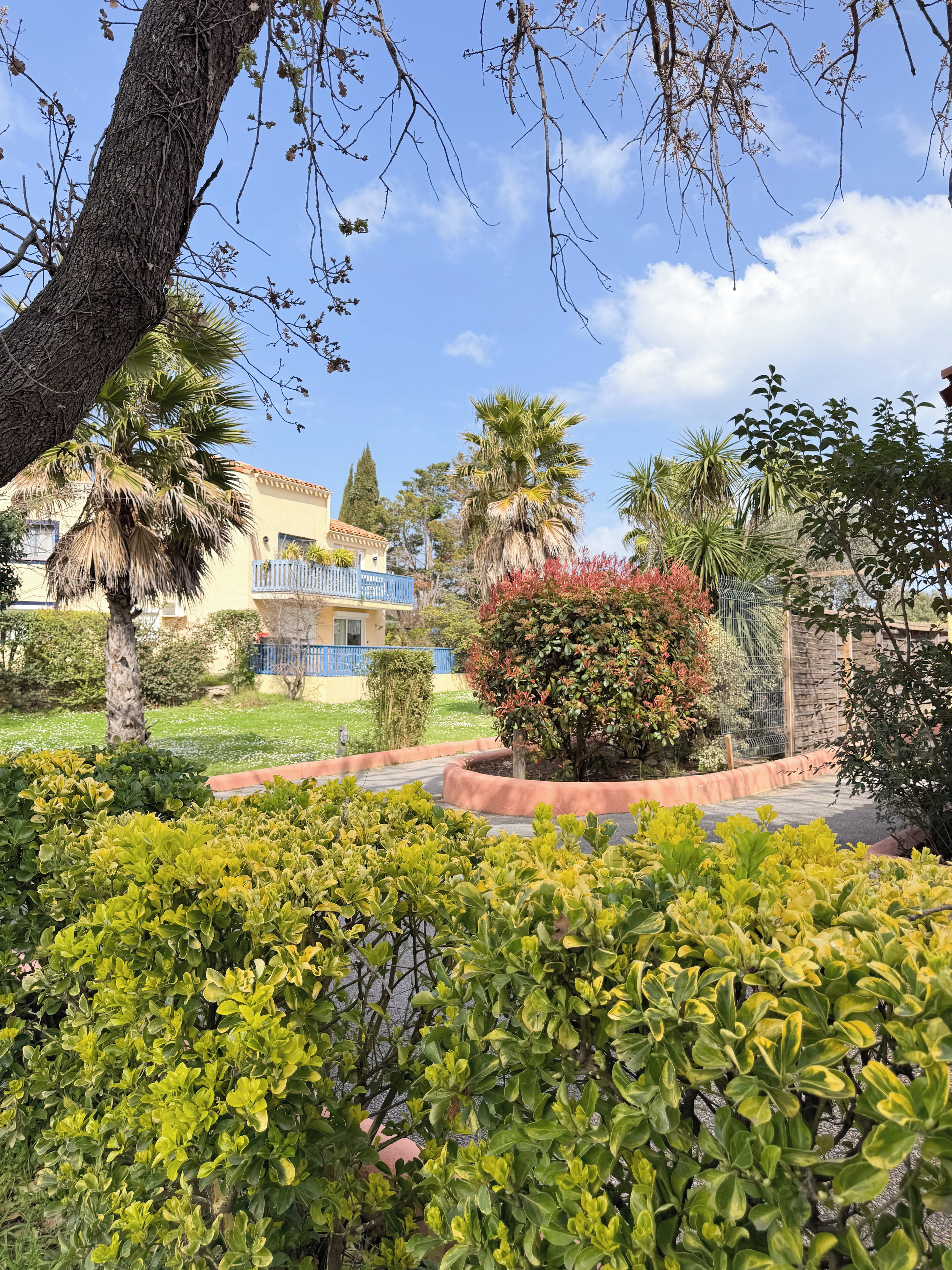 A landscaped garden with a variety of plants and trees, a building with a blue balcony, and a clear blue sky.