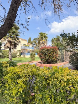 A landscaped garden with a variety of plants and trees, a building with a blue balcony, and a clear blue sky. - Malibu Village (Canet-en-Roussillon)