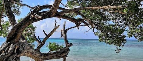 Beach nearby, white sand