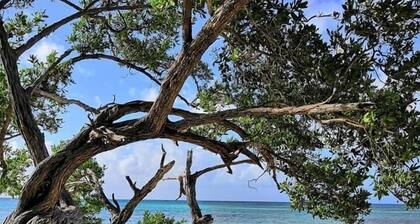 COTE PLAGE LE BALAOU