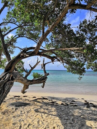 COTE PLAGE LE BALAOU