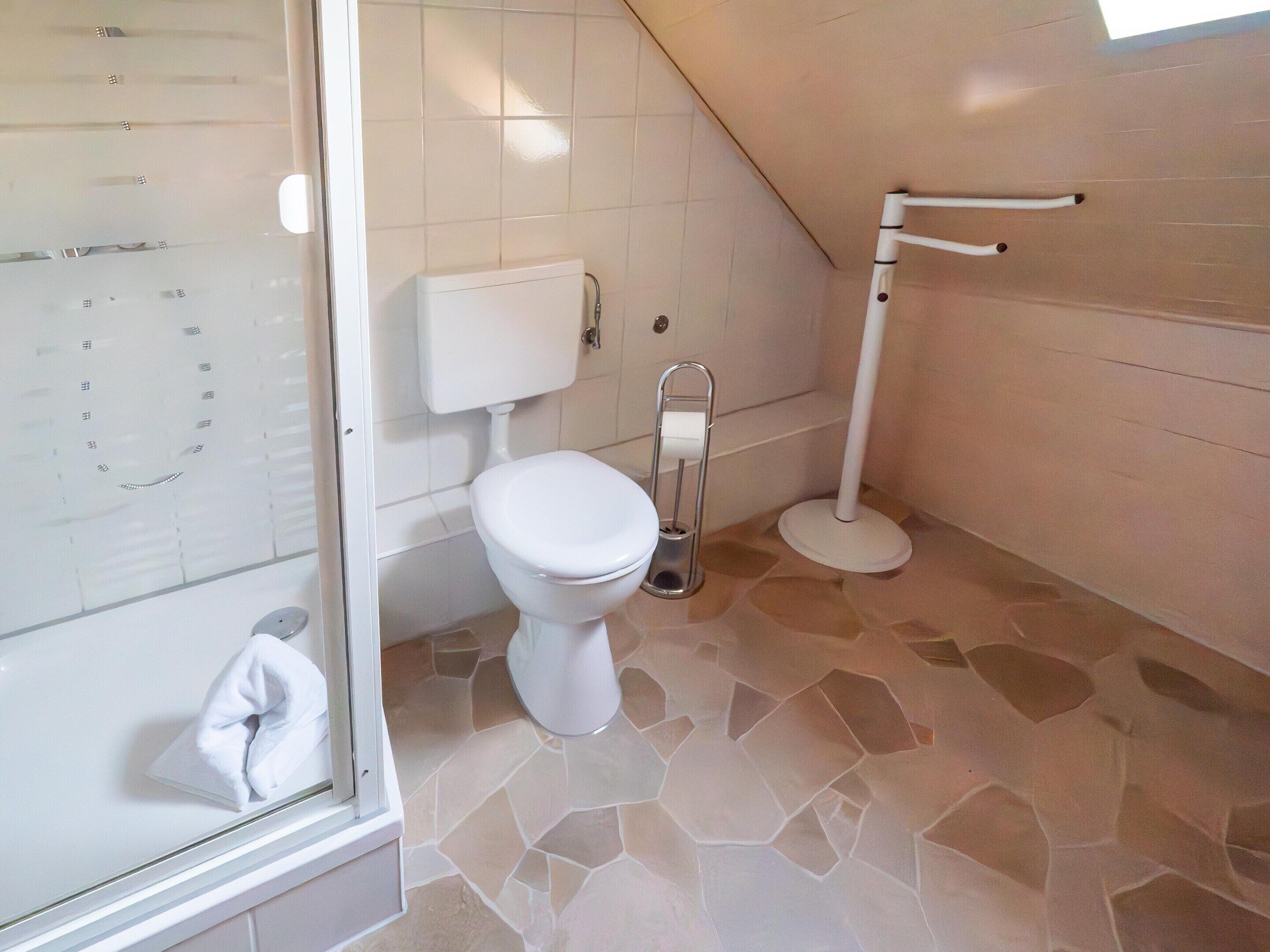A bathroom with a toilet, a shower, and a toilet paper holder.