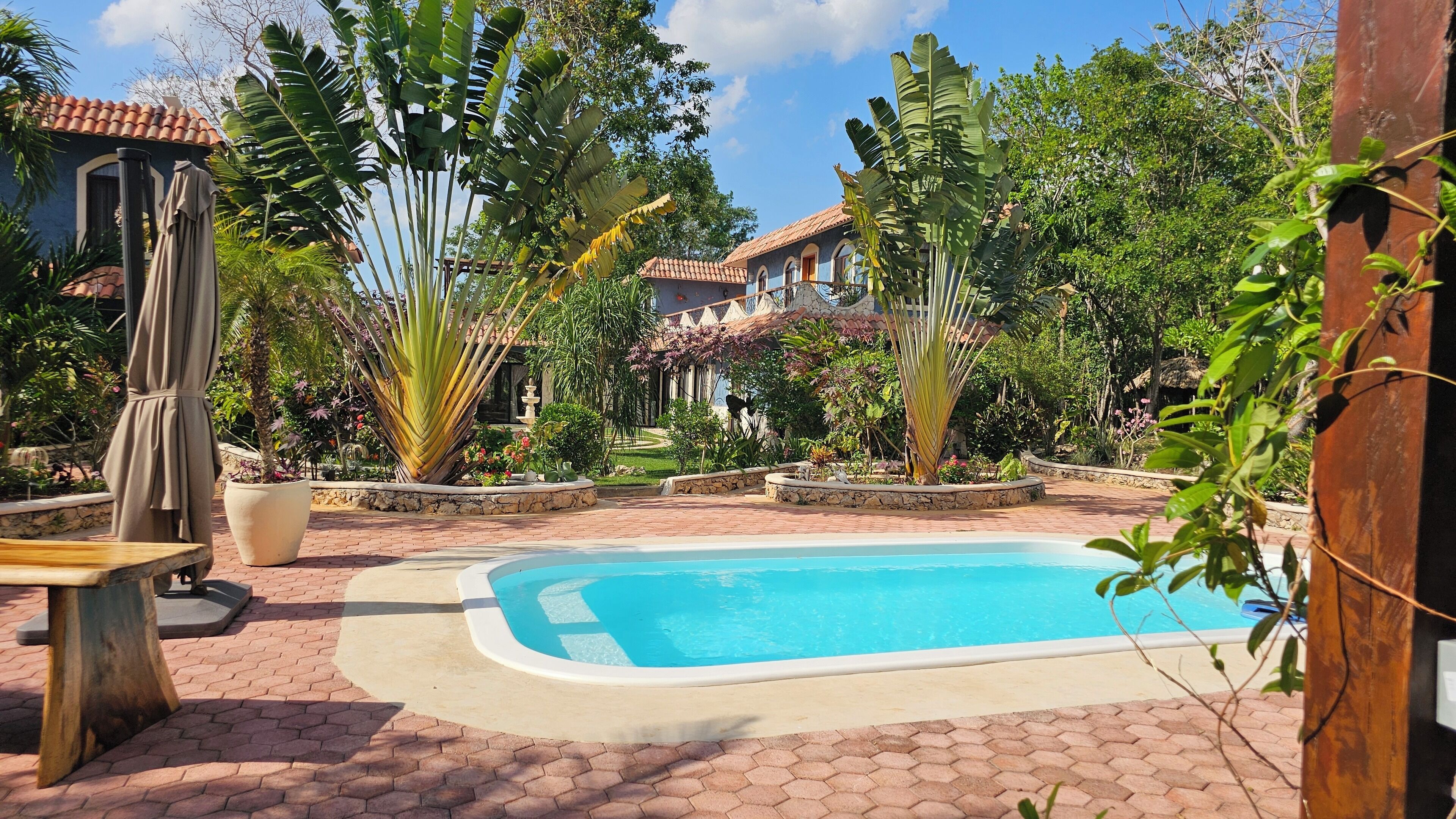 屋外プール、営業時間 9:00 ～ 21:00、カバナ (無料)、サンラウンジャー