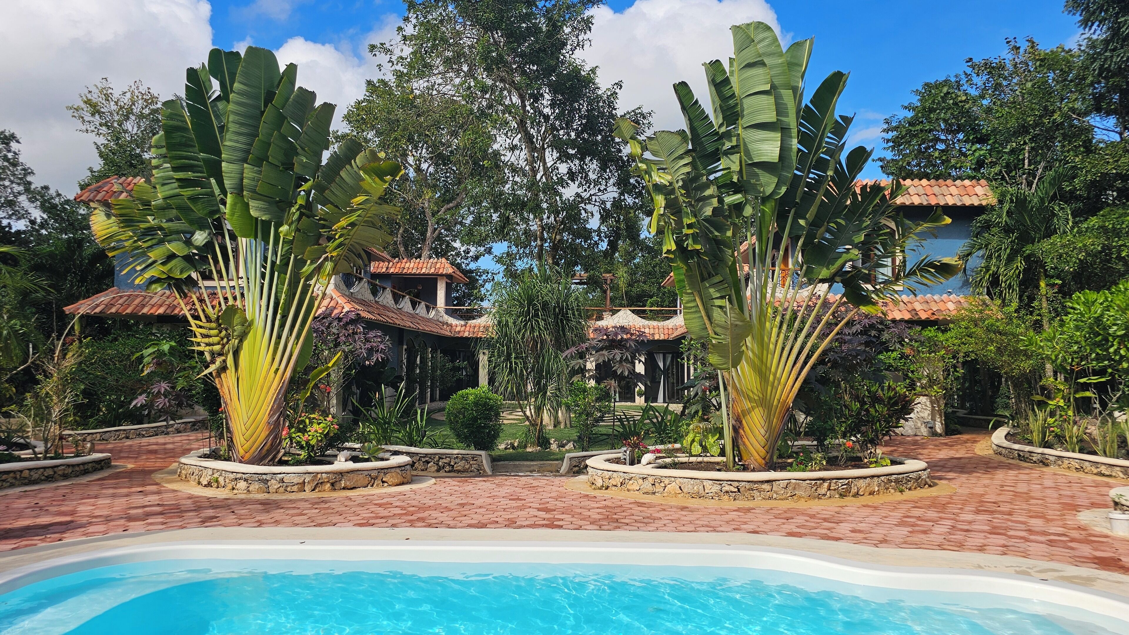 Un área de piscina con un sendero de ladrillos, rodeada de palmeras bananeras y un edificio con techo de tejas.