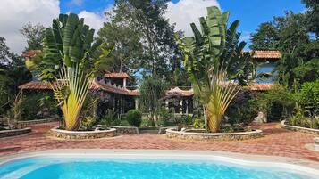 Un área de piscina con un sendero de ladrillos, rodeada de palmeras bananeras y un edificio con techo de tejas.
