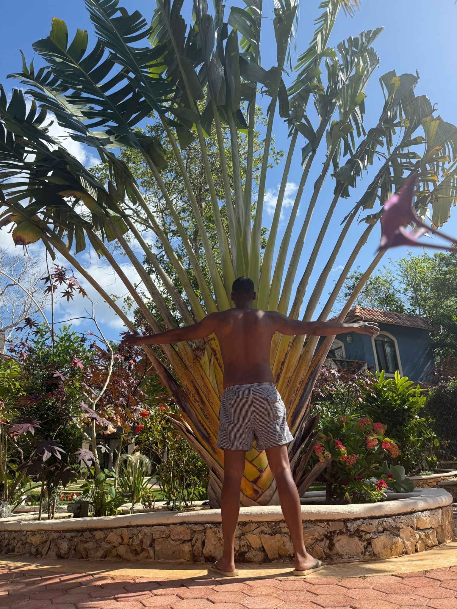 Ein Mann steht in einem Garten, im Hintergrund ein Haus und eine große Pflanze.