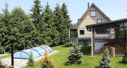 Villa in Dolni Morava Near Ski Slopes