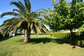 Maison | Jardin