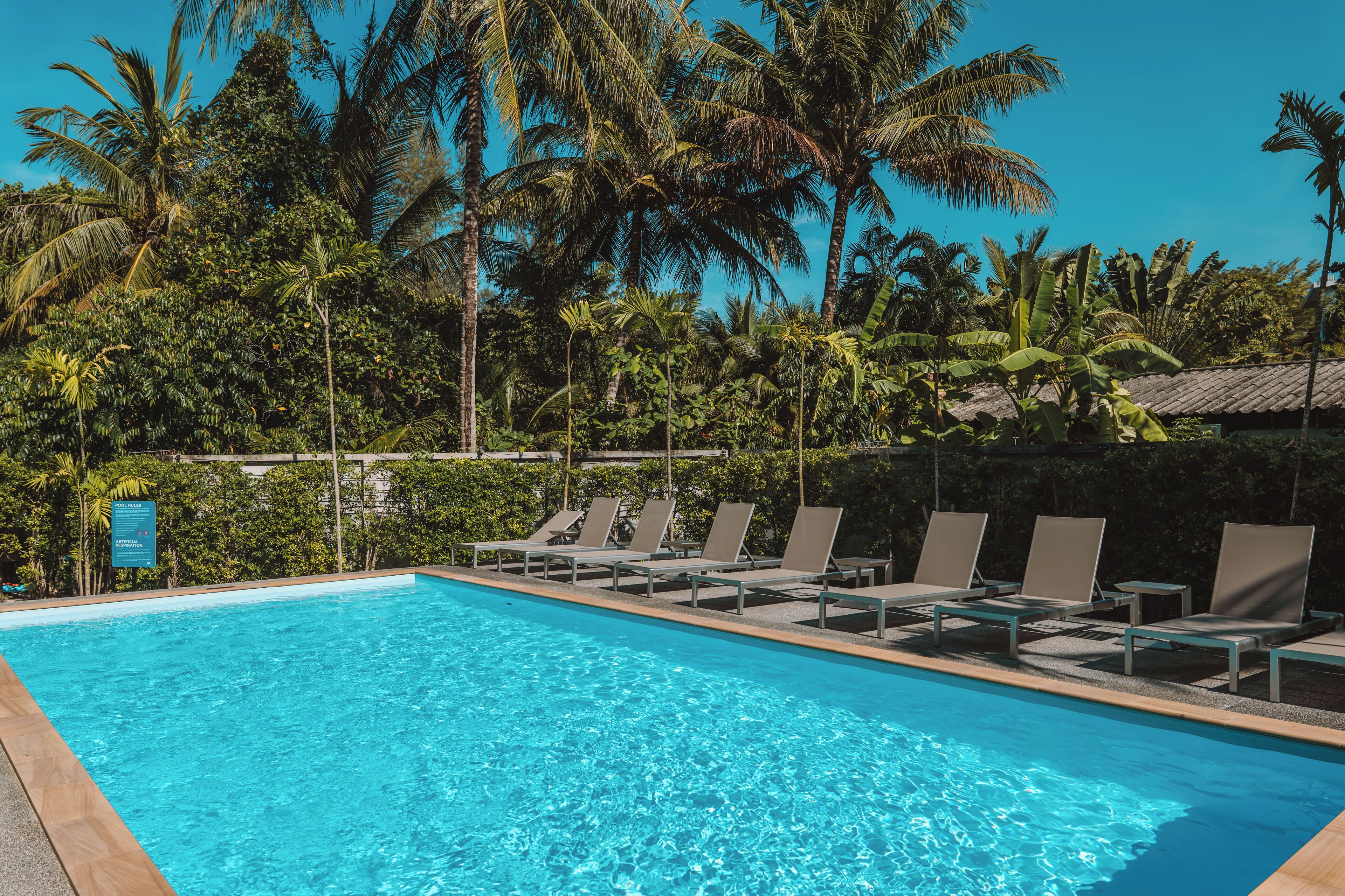 Ein Schwimmbecken mit Liegestühlen und Palmen im Hintergrund.