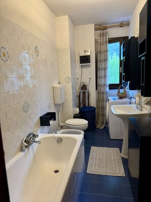 Un bagno con vasca, WC, lavabo e zona doccia.