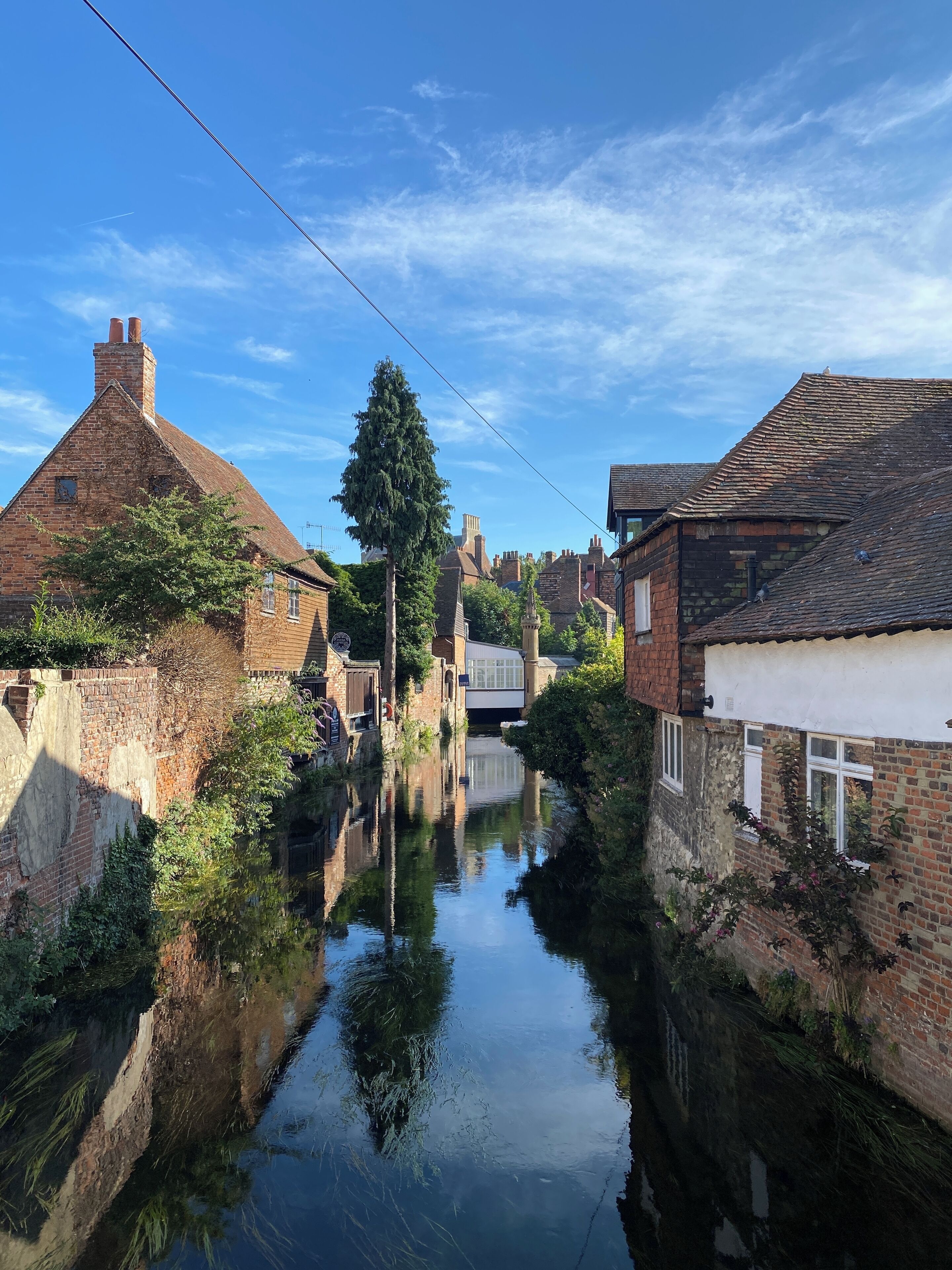 A narrow canal with brick buildings on either side, a large tree in the center, and a clear blue sky.