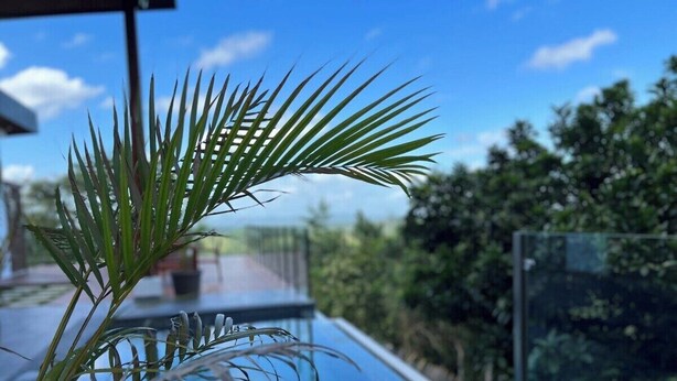 A pool with a glass railing, surrounded by lush greenery and a clear blue sky. - Villa 15 at Chial Reserve Near San Ignacio (San Ignacio)