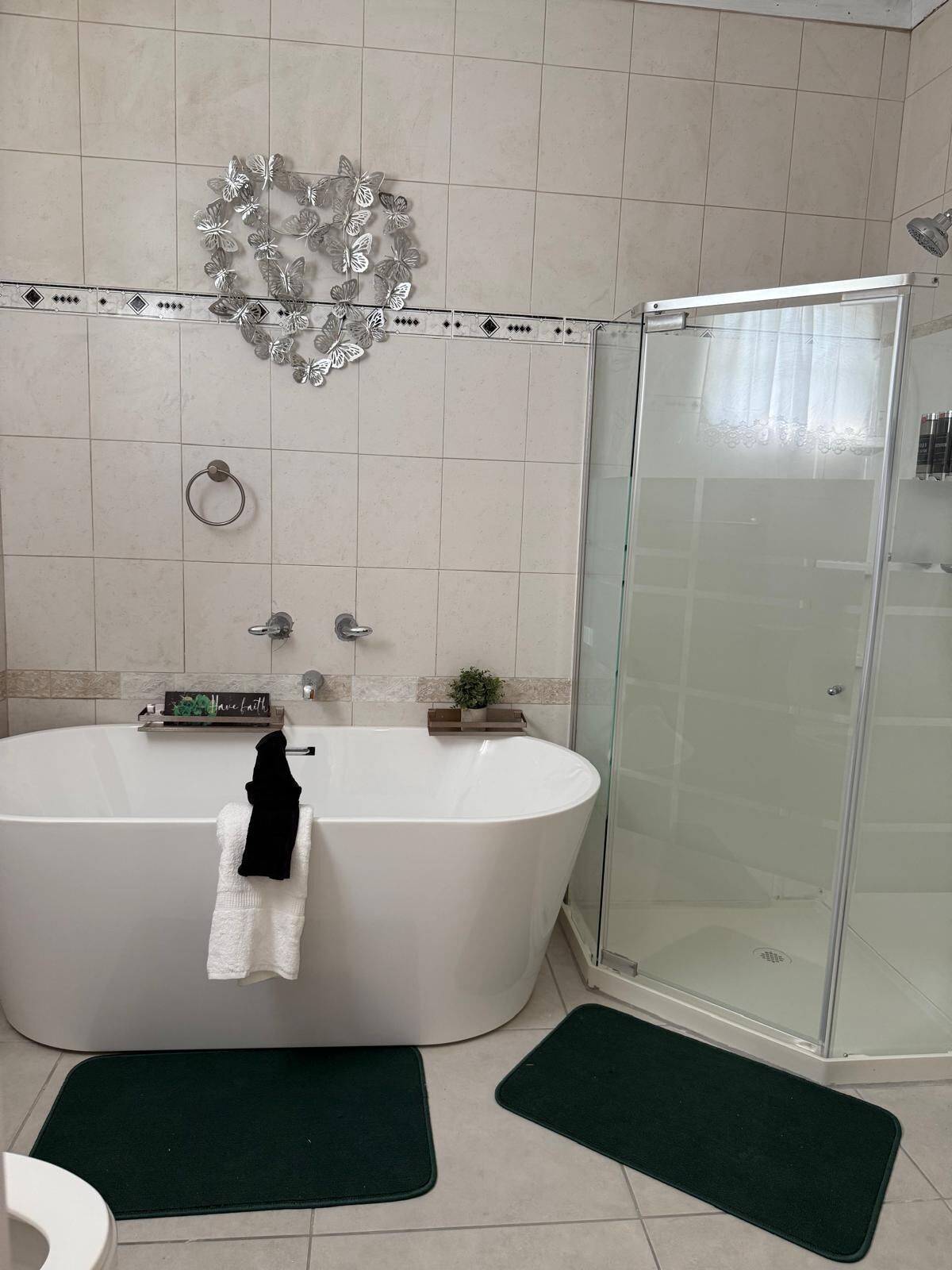 Hair dryer, towels, soap, toilet paper
